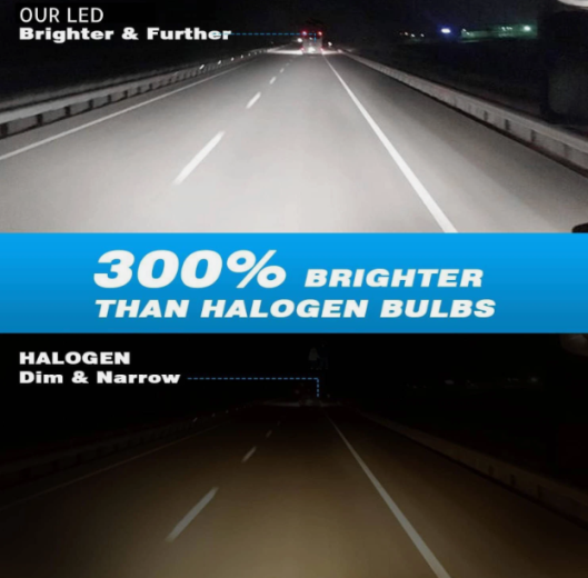 Στιγμιότυπο οθόνης (2029)